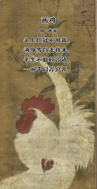 这是唐伯虎的一首题画诗。一只头顶红冠、通身雪白的公鸡大摇大摆地走进了画面,诗人对其外形和动作的描绘,表现出它的威风凛凛。#画鸡#画鸡古诗 #古诗词 #古诗