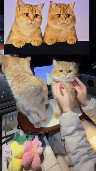 理想这个艺术相框生成的萌宠也太逼真了,理想这次更新的艺术相框里还可以生成裸眼3D萌宠效果,今天就来体验一下啦,首先我们看下效果,这是我给车机的图片,这是生成的效果,相似度简直百分之九十九,方法就是点开车机的里面的艺术相框,选择这个裸眼萌宠,然后手机扫码上传图片,大家最好上传正面的照片,这样生成的更准确,接下来就是等待生成就行了,大家快去试试吧。#理想生活进行时 #把爱装进车里 #萌宠也有自己的新年写真 #理想汽车 #理想i6