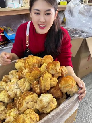 黑龙江的金毛猴头菇上市了,半斤到手六个左右,营养价值丰富,产地发65块钱一斤#金毛猴头菇