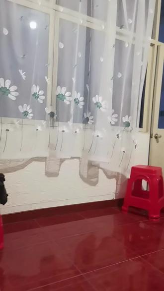 睡的迷迷糊糊,分不清白天晚上