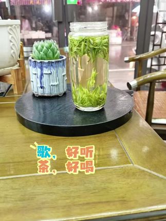 茶汤透亮,心也亮#安吉白茶