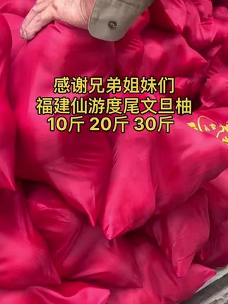 文旦柚之乡 吃当季水果福建仙游度尾文旦柚#文旦柚 #福建度尾文旦柚 #文旦柚 #文旦柚的正确打开方式 #助农