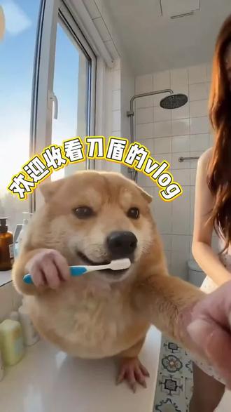 欢迎收看刀盾的每天Vlog,两集连播#刀盾狗 #AI打工人