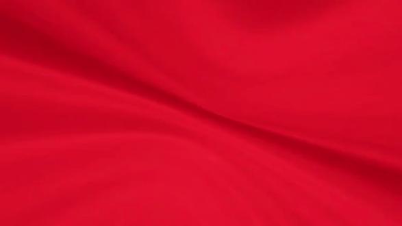 万马奔腾春意闹,一马当先是我家宝!,小宝用剪纸文化送上祝福语!#以马为梦不负韶华 #马年吉祥