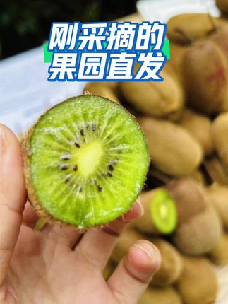 果园直发没有中间商的感觉真好#记录真实生活