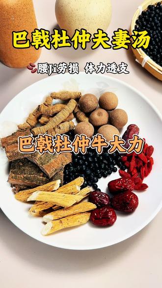 #上热门 #抖加小助手 #养生食谱 #食疗小妙招 分享巴戟杜仲牛大力猪尾汤