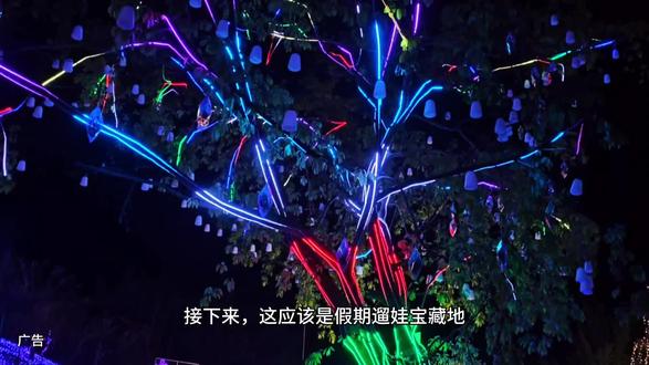 假期不知道去哪儿玩?那么来2026峨眉山非遗千灯会吧#2026峨眉山非遗千灯会#新春灯会#夜游#春节去哪玩#冬日游玩指南