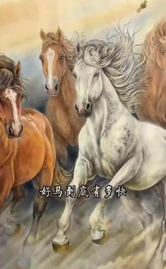 宝马良驹配英雄,驰骋天地间!🐎💪 好马到底有多快?一试便知! #宝马良驹 #英雄本色