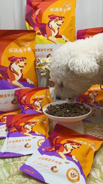 #麦富迪乐活冻干狗粮 适口性好,我家福宝框框炫,趁现在活动赶紧冲#狗粮推荐 #新手养狗 #萌宠好物 #快来尝个鲜