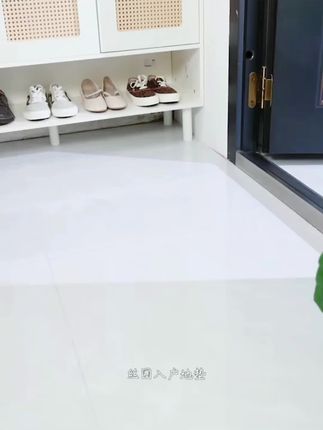地垫入户门垫进门大门口脚垫门外2025新款红色丝圈玄关进户地毯#强烈推荐 #入户门地垫 #出入平安 #脚垫 #地垫地毯