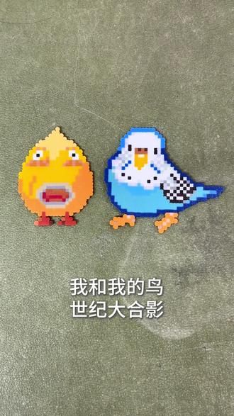 用拼豆做了我的头像和我的鸟
拼豆图纸来源于📕博主
#拼豆 #虎皮鹦鹉 #鸟 #拼豆笔 #科曼尼奇