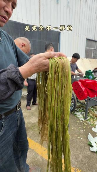 好麻卖好价 剥麻不是打碎外壳就行的,完整性也很重要。
#打麻 #打麻机 #剥麻 #剥麻机 #苎麻剥壳