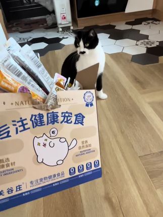 关古庄猫条#宠物零食推荐 #猫条测评 #关谷庄营养猫条 #猫咪发腮零食