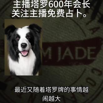 塔罗牌教学骗人套路 #塔罗牌#塔罗师#穿越火线虹