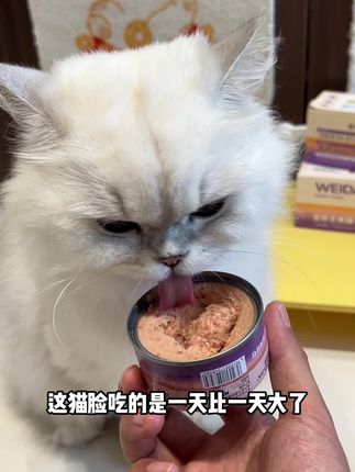 真肉成泥的主食罐是可以看到肉质纤维的,而且还添加了50粒爆珠鱼油#猫咪主食罐 #猫罐头#吃货猫 #养猫新手 #养猫人