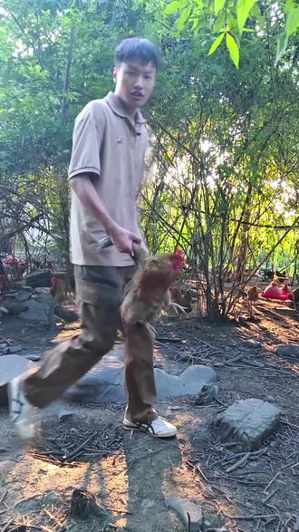 业内人教你如何买鸡,买鸡干货 #生活小妙招