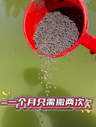 #水产养殖#肥水 #鱼耀 #四大家鱼养殖 #鱼虾蟹养殖 肥水颗粒直接干撒