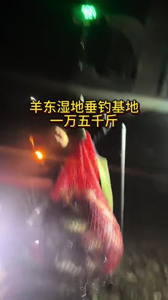 #凌讯冀 #陶山有面 #黄佳鲤炮 #黑坑鲤鱼 @孟岩钓鱼直播
