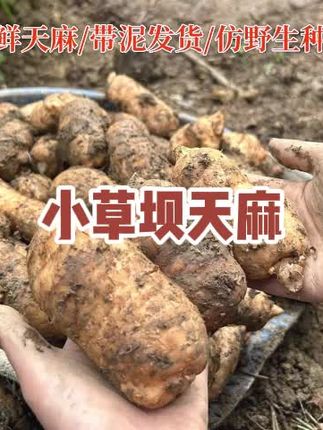 #吃货 #美食 #好吃到停不下来 #吃货日常 #好吃不贵经济实惠
