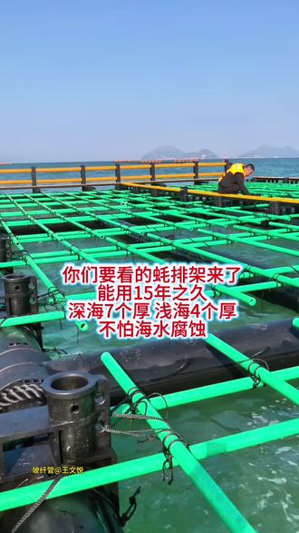 #三农 #玻璃纤维管 #玻璃纤维杆 #生蚝养殖 #海产品养殖
你还在用竹子吗