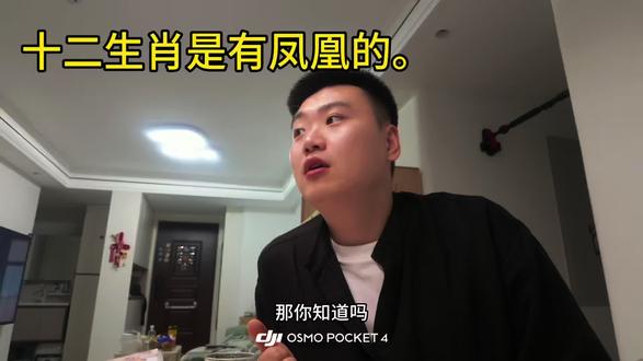 十二生肖,之前是有凤凰的,后来为什么没有了呢?原因竟然是…#十二生肖 #主打就是一个真实 #破大防 #给家人们整笑了 #vlog日常