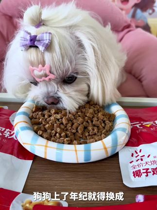 专为老年犬研发的这款软粮,低脂低胆固醇配方,胖狗狗也能哐哐炫,牙口不好的都可以去试试。#萌宠好物 #狗粮推荐 #日和优宠椰子鸡软粮