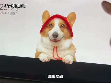 理想你又让我哭!(素材均已标注,侵删~)
#理想汽车#宠物模式#宠物#温暖