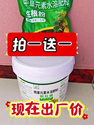 拍一送一#创作灵感 #颗粒硼 #硼肥 #服务三农支持三农 #底肥追肥