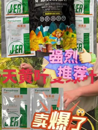 改善果树黄化问题(矿源+绿美滋)