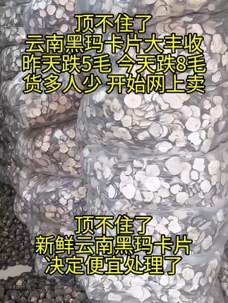 云南丽江黑玛卡,整个大果切片,可以煲汤泡水泡酒#玛卡 #云南玛卡 #玛卡片#抖音助农