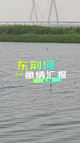 武汉东荆河35米炮杆大阵归来,台钓完全不是对手啊。#钓鱼观察 #垂钓爱好者社区 #钓鱼观察