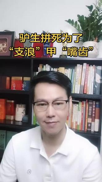 潮汕“浪文化”系列解读,话糙理不糙。 驴生拼死,为了“支浪”甲“嘴齿”,你听说过没?潮汕男人最坦诚的生存逻辑#潮汕话#潮汕俗语#潮汕人#浪文化