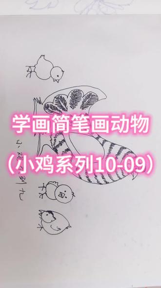 学习简笔画之小鸡系列九