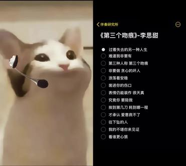 和 @伴奏研究所 一起 #合拍 #第三个吻痕