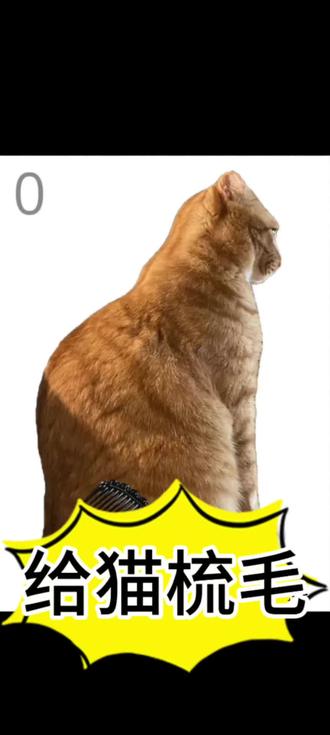 @光环助手APP #光环助手 给猫梳毛(哈基米猫)下载链接 #给猫梳毛 #哈基米