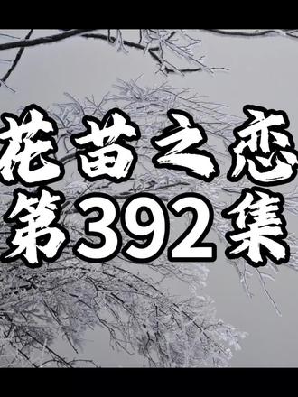 花苗情缘/392#家庭情感故事 #家庭情感 #家庭百态