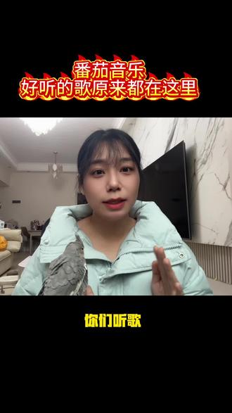 别再花费大几十开会员了,直接来这里实现听歌自由 #番茄音乐