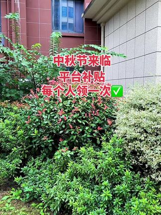 #强烈推荐 #心相印 #超便宜超划算 #无限回购的宝藏单品 #心相印抽纸推荐