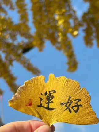 今天有好消息跟大家分享#新生儿 #记录真实生活 #00后月嫂