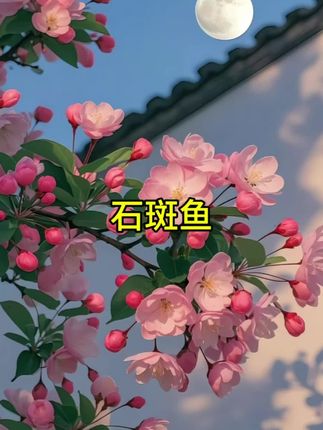 #石斑鱼#原产地直发