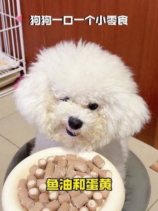 谁懂啊,现在零食都卷成这样了,一口一个,连鱼油的钱都省了 #味当家冻干 #宠物零食