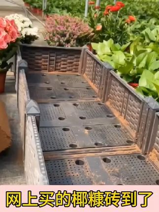 在家种养花种菜种多肉没有土,试试这个脱盐椰糠营养土,土质疏松透气,保水保肥。#椰糠土 #营养土 #养花种菜专用土 #家庭种植