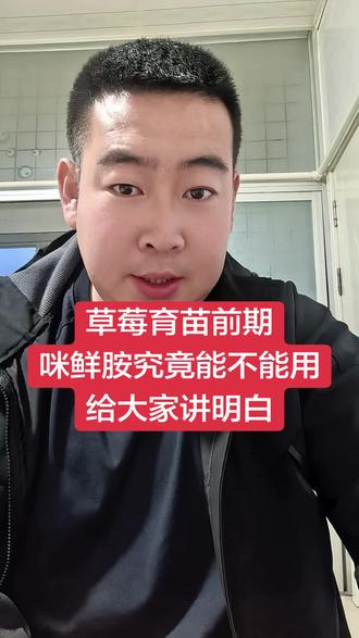 草莓育苗前期咪鲜胺可以用吗,一个视频给大家讲解一下个人看法。#草莓育苗 #草莓种植 #三农 #草莓大棚 #草莓育苗技术
