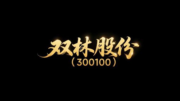 创业板股票深度分析:300100,双林股份
