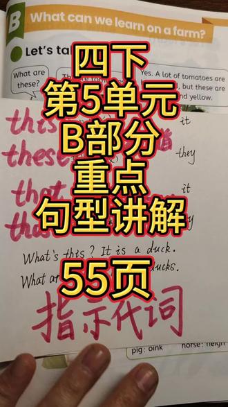 四年级下册第5单元B部分重点句型讲解。#小学英语 #四年级下册英语 #英语句型解析 #小学英语语法学习 #英语知识点总结