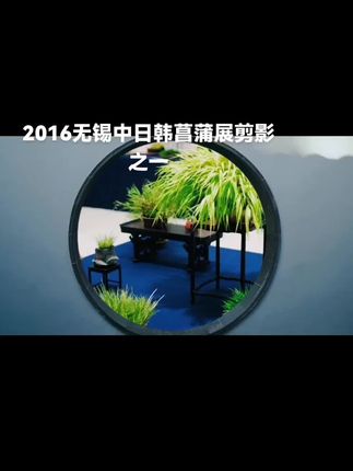 当你还在为一棵九块九的小苗纠结的时候