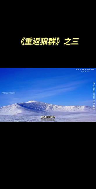 有时候,人性比狼更可恶,不食人间烟火,不回馈不说但还咬熟人亲人。