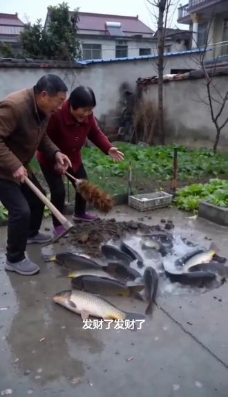 #AI菜园刨地遇鱼涌 #随变ai随便玩