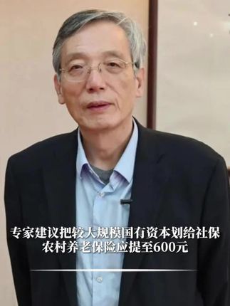 刘世锦:建议把较大规模国有资本划给社保,农村养老保险应提至600元 #财经 #经济