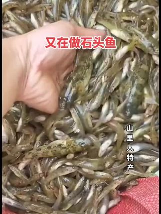 大家有没有吃过这种烘干的小黄鱼,用点辣椒炒来吃酥酥香香的#小鱼干 #火焙鱼 #下酒菜 #家乡特产